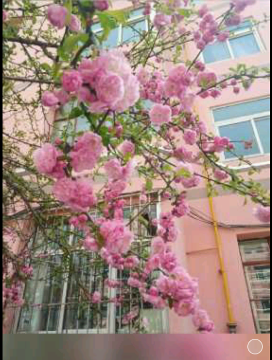 超级截屏_20200414_200843.