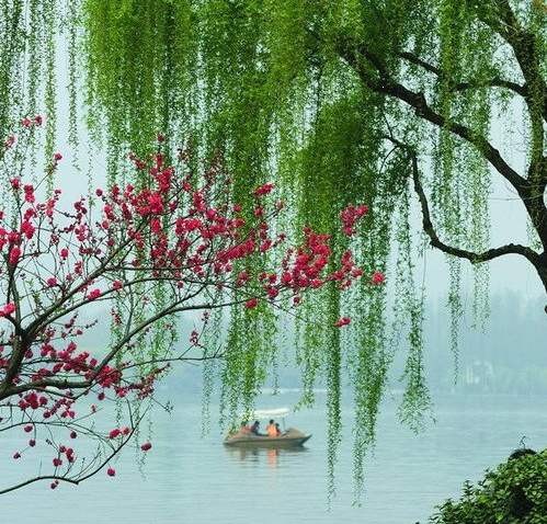 【推荐】徜徉在春天||周正春（图5）