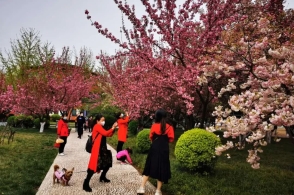 1587181912668098264.jpg 长安樱花广场.jpg01.jpg