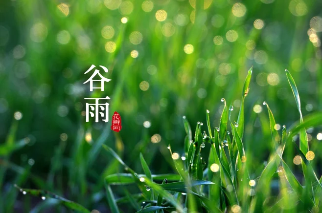 谷雨寄情
