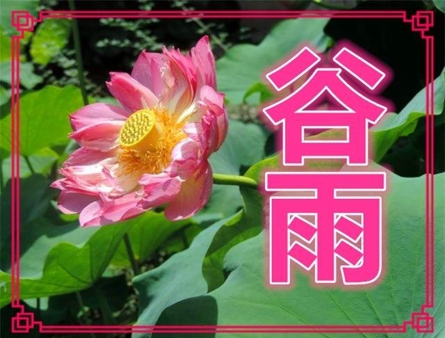 IMG_20200418_170410.