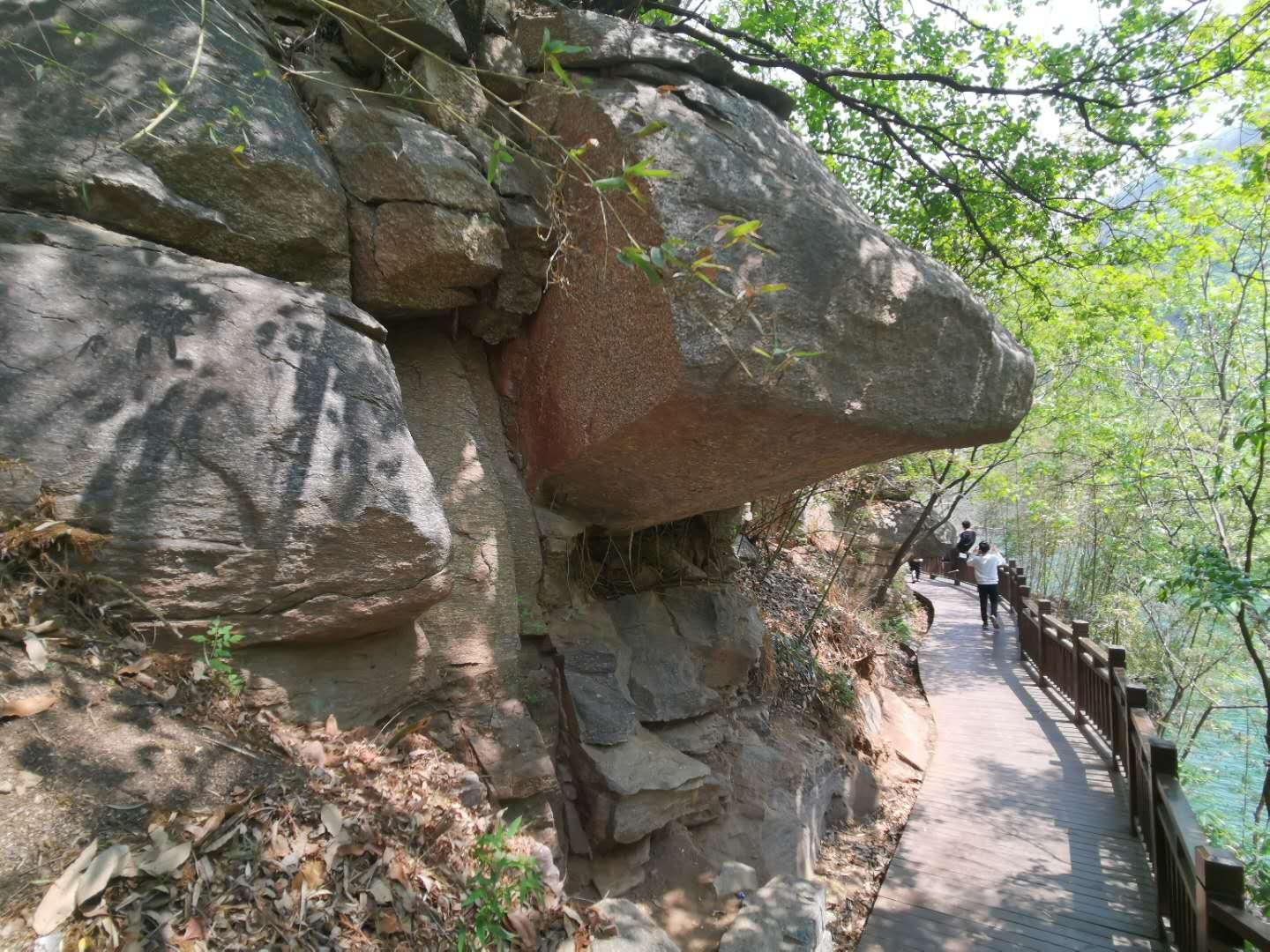 寰俊鍥剧墖_20200420202315.jpg