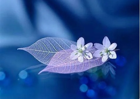 IMG_20200420_231244.