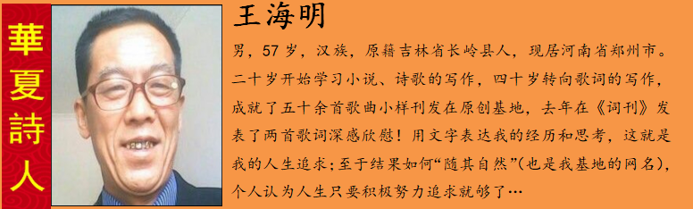 王海æ?.png
