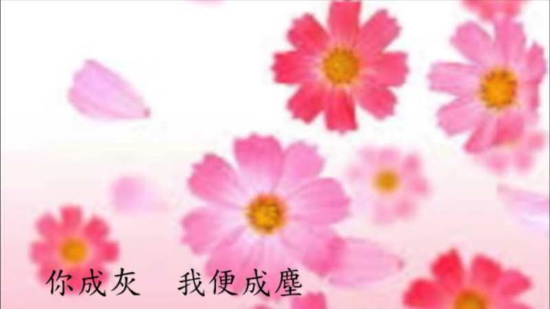 40E8D246-9025-41FB-A955-C721B5516796.