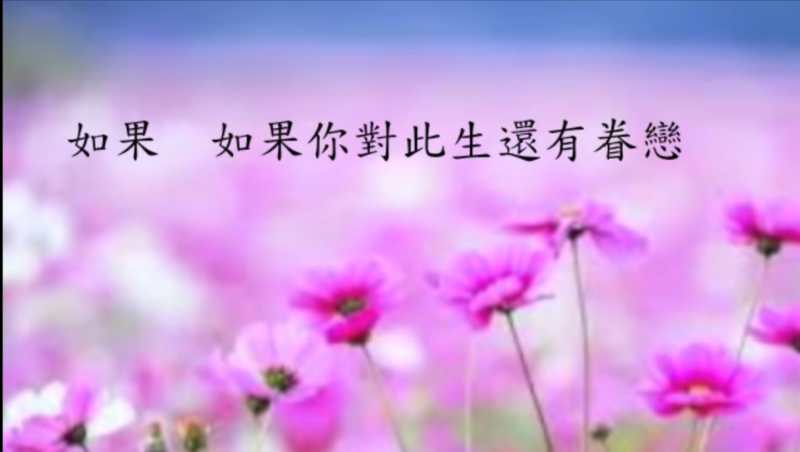 84DACC72-497F-40A1-9DAB-56B3894B17BD.