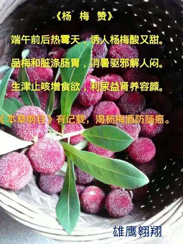 mmexport1591238126482.