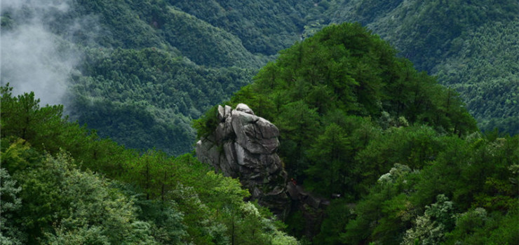 1591517418300048262.jpg 骞曢槣灞?.jpg