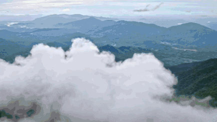 434_244gif 动态图 动图