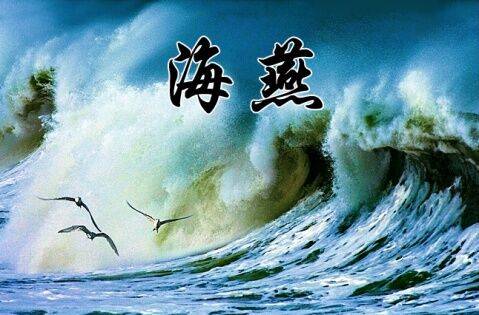 《海燕》作者:高尔基丨朗诵:云水合愿丨配乐:余音缭绕