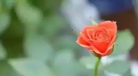 B08129F7-B257-4A70-AC65-C865E4E3B797.