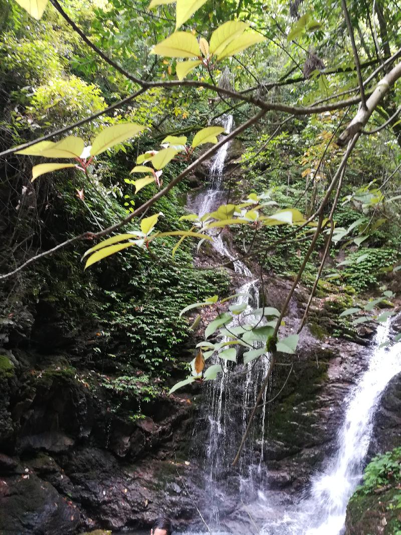 蔚文立平《东山记》