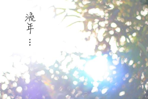 u_1425736676_3626480243&fm_26&gp_0.