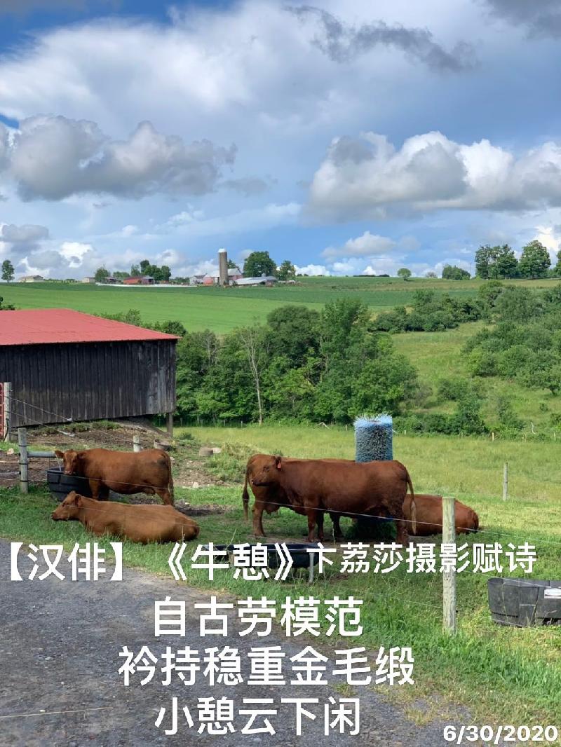 F75FE1EA-A98B-4DC4-8715-F8E5DD726B26.