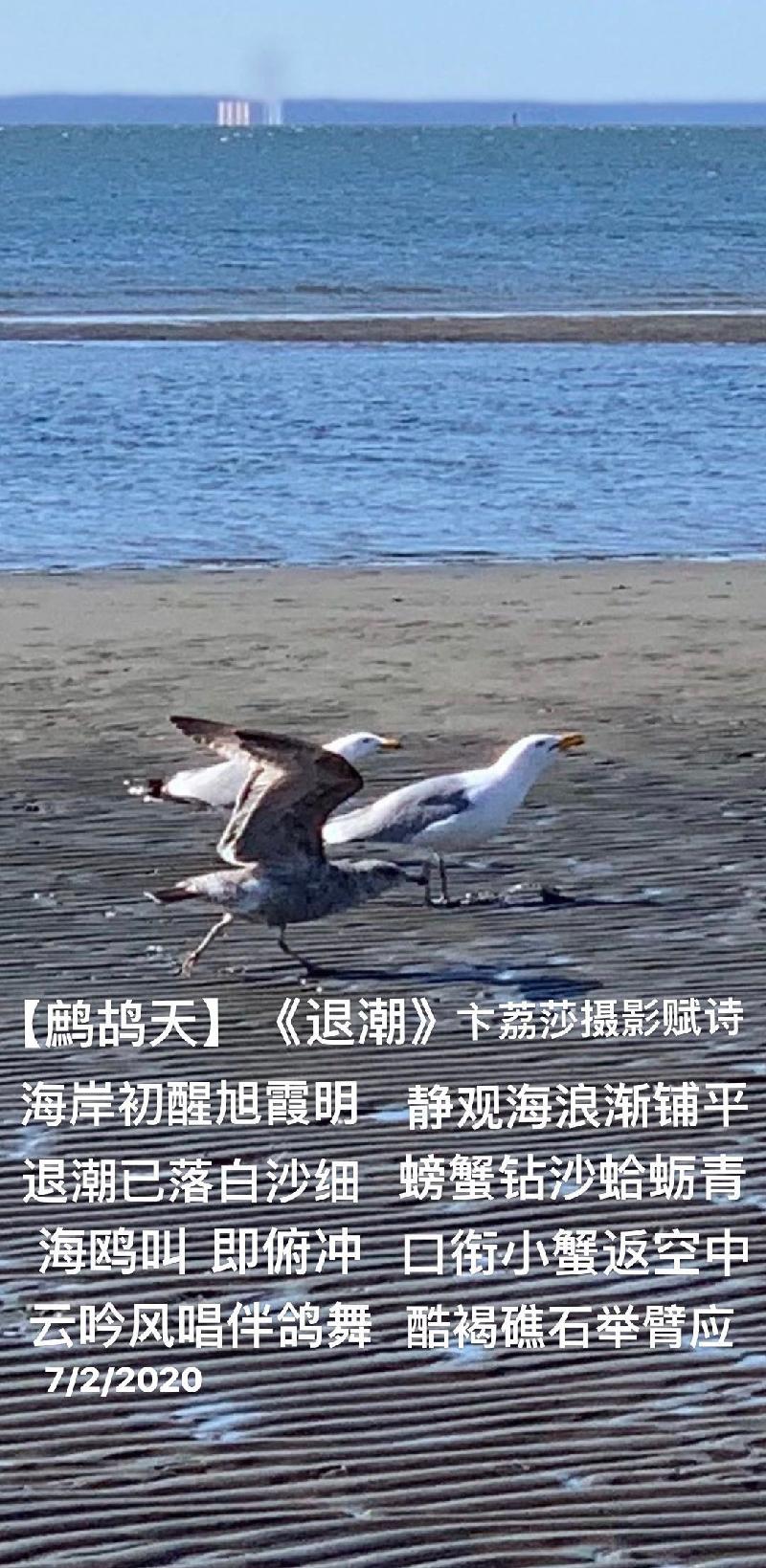 8B2C8BE6-695A-4D12-AA4F-F9B009B03798.