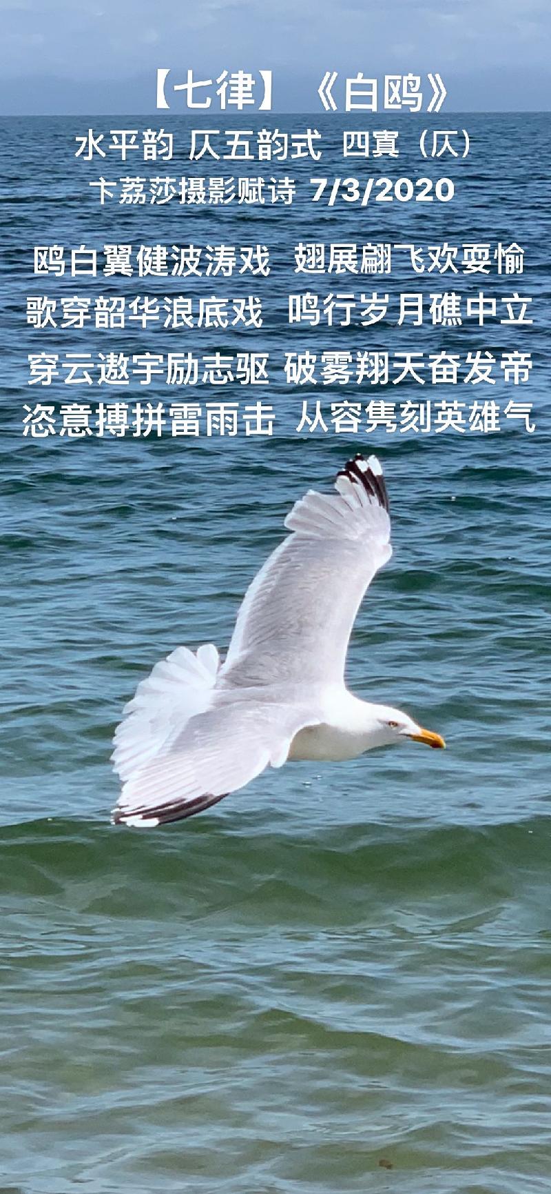 CE308B92-7188-431D-9935-2070E1957B59.