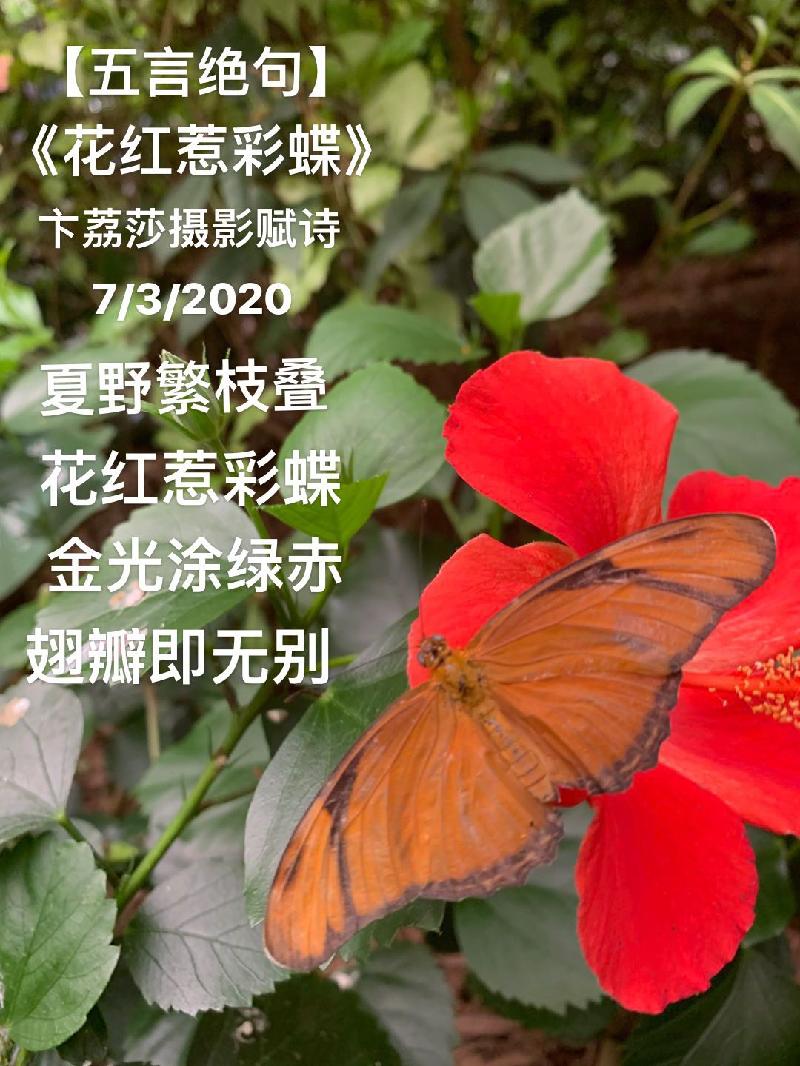 E3A8CA35-1395-4432-AED4-31BD82FEEA74.