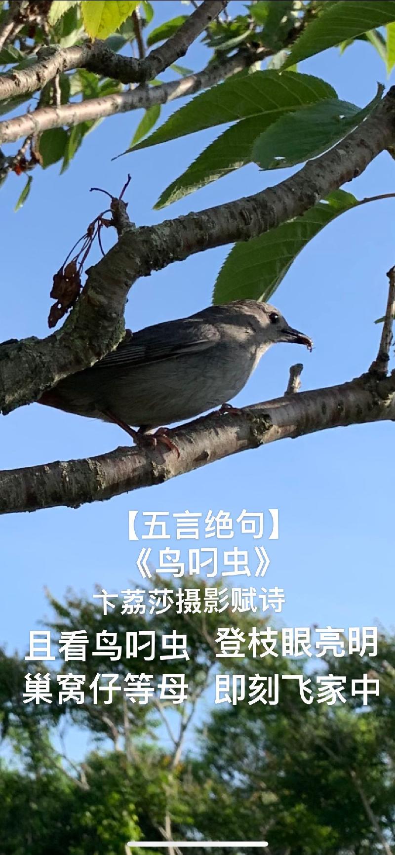 CA17E6A8-799D-45EE-857E-699F131D765A.