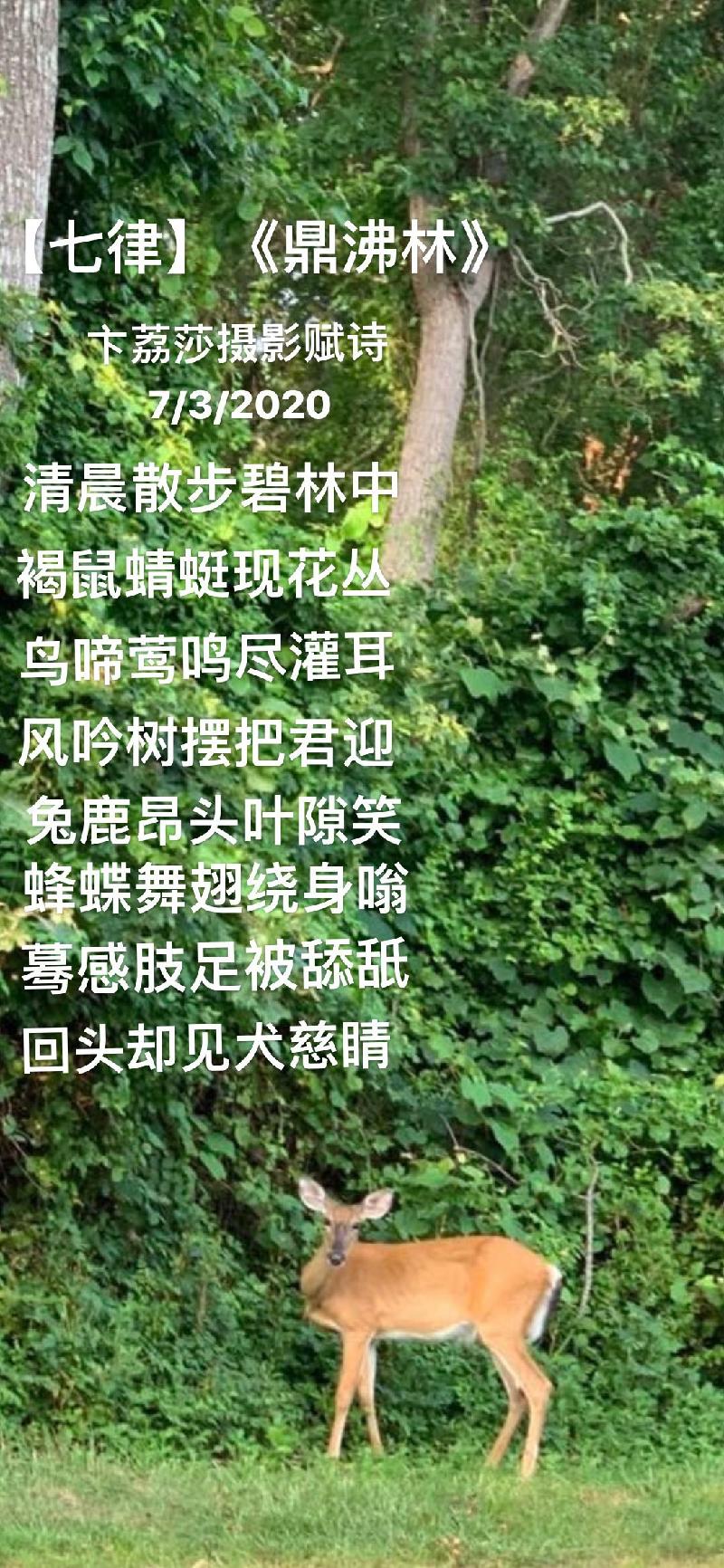 621DCEDD-7EE3-4834-A281-A0889AE460F6.