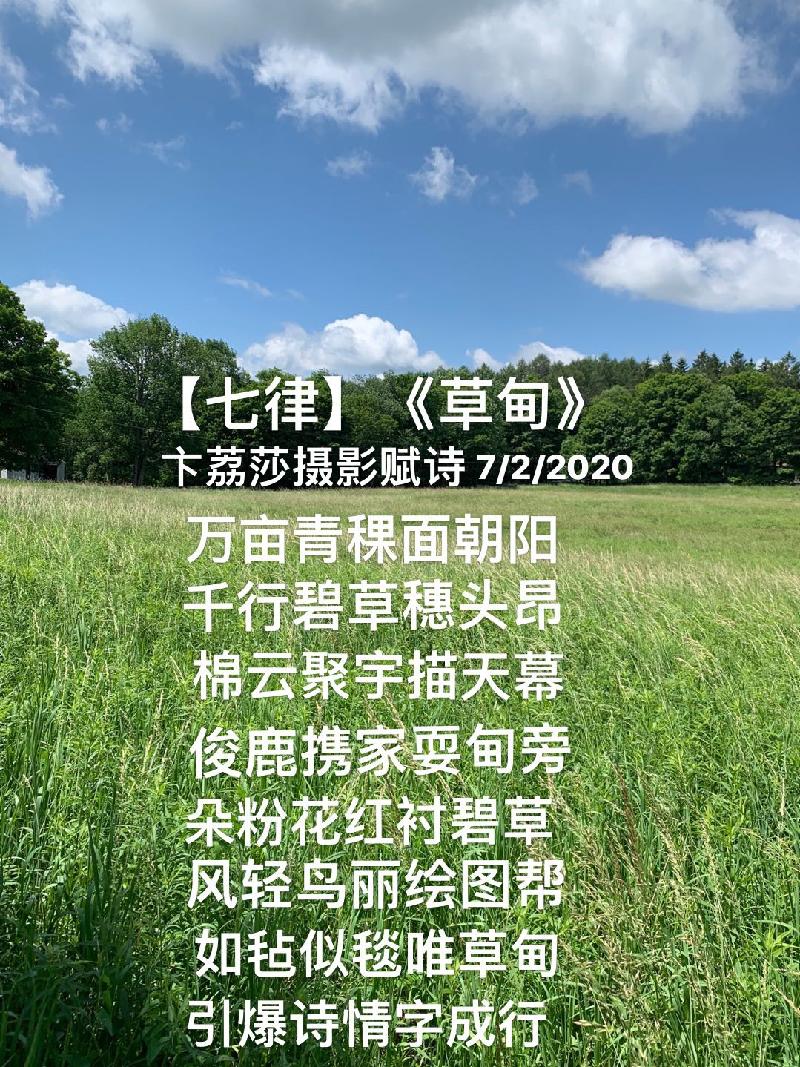 09C54AB3-F8E8-42EB-9E32-ADEA7D43C2C6.