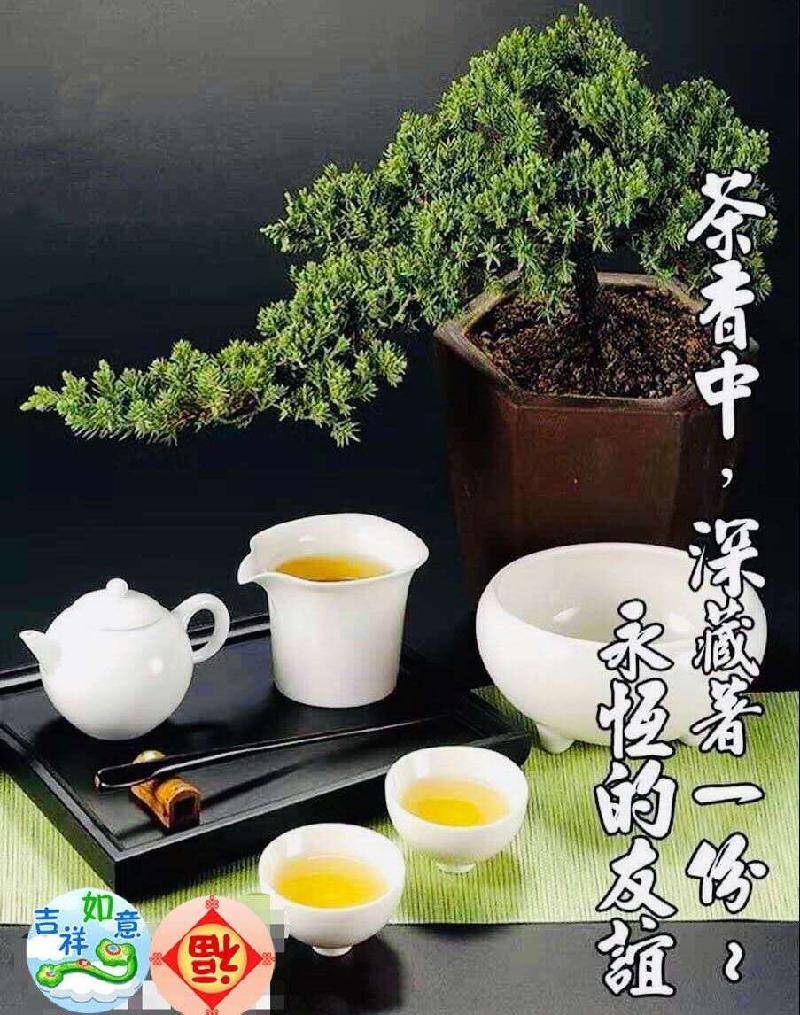 清晨茶语的唯美图片图片