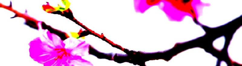 IMG_20200801_105445.