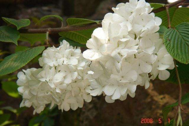 DAEDFE8B-F6B2-4C63-A386-AD733D217485.