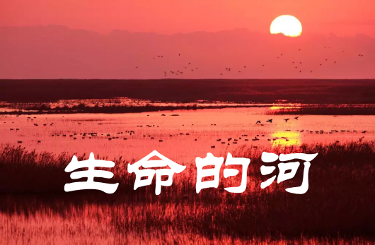 54e9e09d457440328add6eb5d71cd38c_鍓湰.png