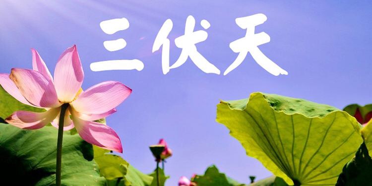 706EFA0F-EC9B-4064-B3DD-62849D38101E.