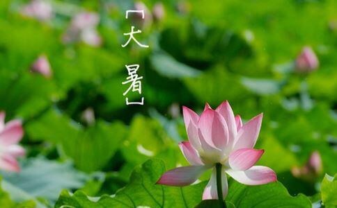 4CA3F11C-213B-4A07-9C5F-9D031E37FF10.