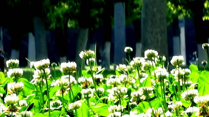 33095D40-6739-46A2-8F5C-65242AB59915.