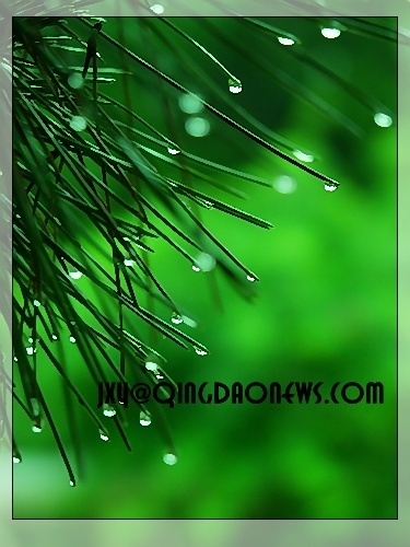 3a1aab32aed8c30ee41f7ea02baf6512f26fd081da848463169ae6379e872a90.0.