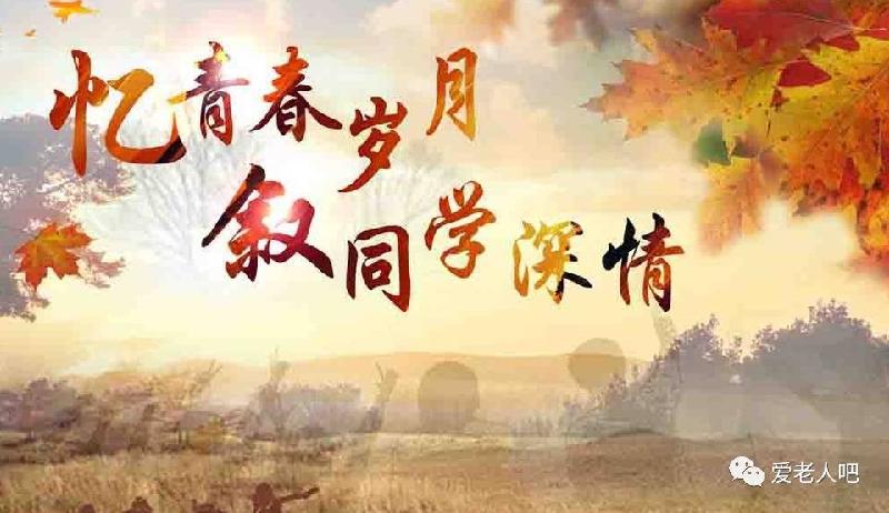 王香谷专辑〔澳大利亚〕【冰心文化传媒】(图3)
