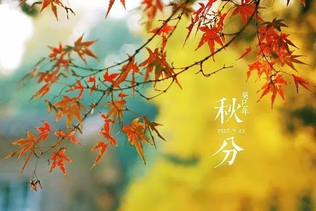 《周末拾零》依旧热爱:文/郭涛(陕西)(图3)