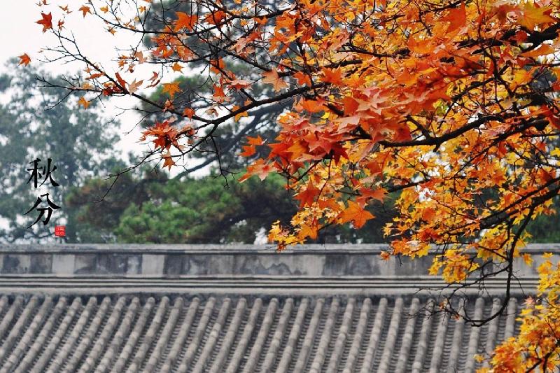 《周末拾零》依旧热爱:文/郭涛(陕西)(图5)