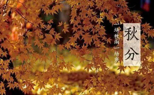 涓嬭浇.jpg
