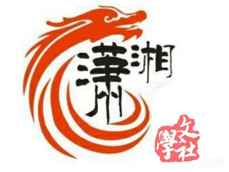 【潇湘文学社】今日同题《琴》