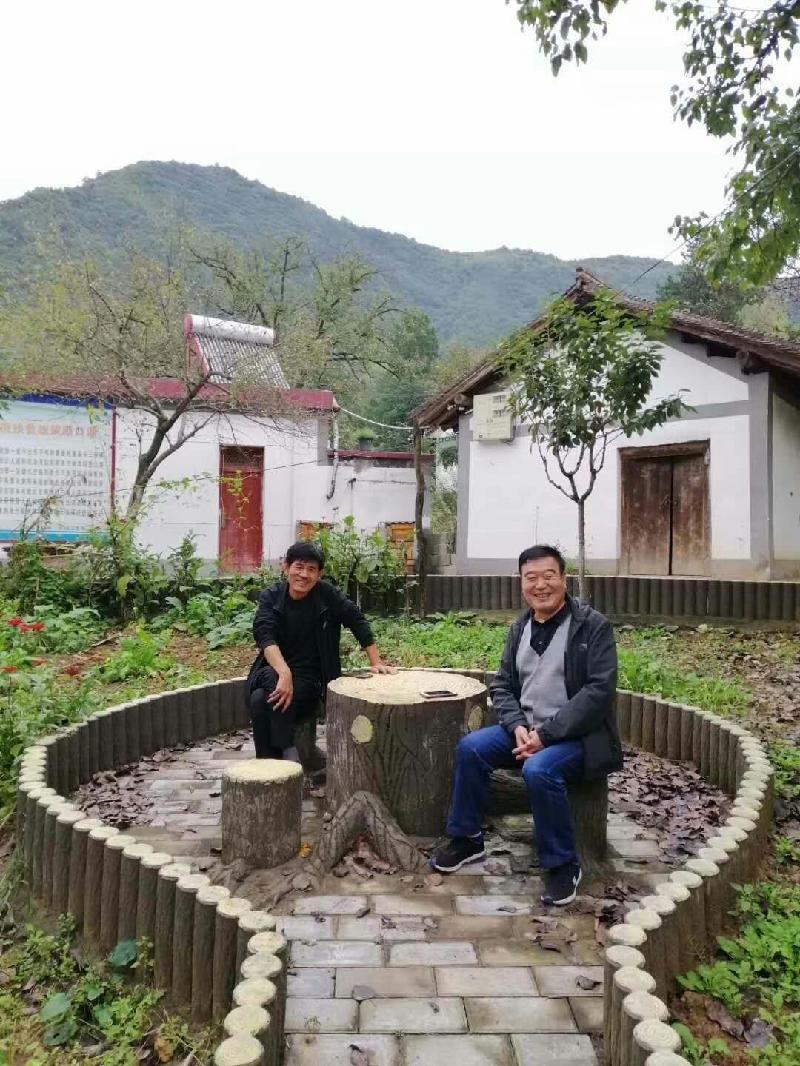 七绝三首.秋游太白村 文/陇上(甘肃)【冰心文化传媒】（图3）