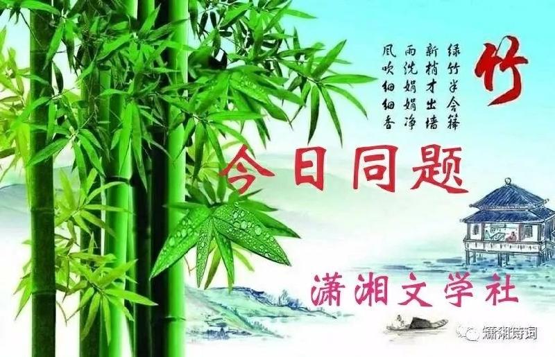 【潇湘文学社】今日同题《竹》（图2）