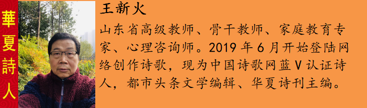 1603027187702003847.png