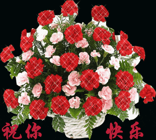 1603376182014078319.gif timg (5).gif