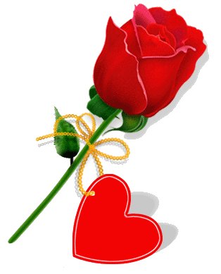u=2846671912,2697486022&fm=26&gp=0.jpg