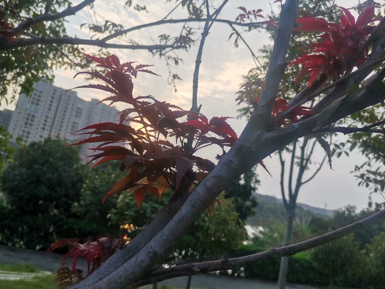 寰俊鍥剧墖_20201025213540.jpg