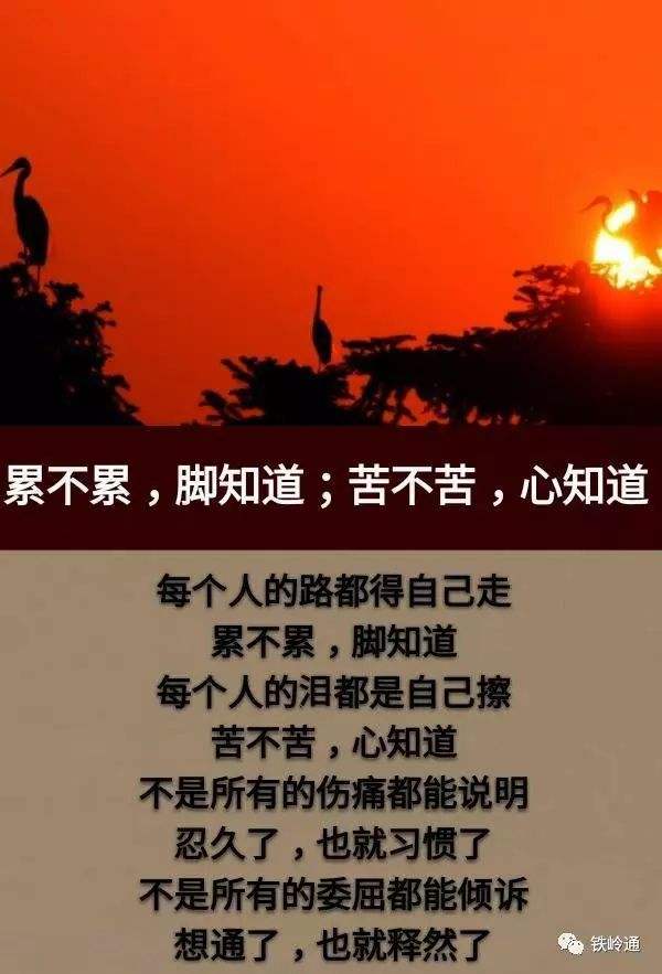 俗话说"人活一张脸,树活一张皮",人类社会其实是为自己的