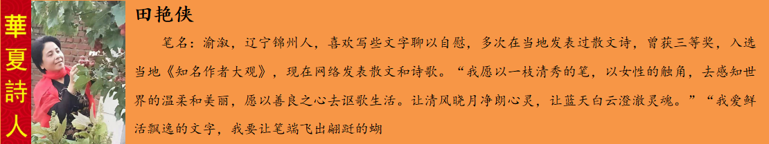 1604231246046095191.png 鐢拌壋渚?.png