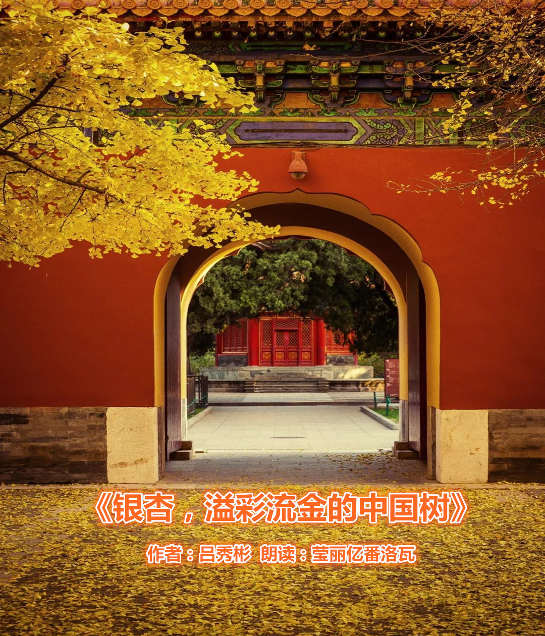 1605435540965061909.jpg 寰俊鍥剧墖_20191118211656_鍓湰.jpg