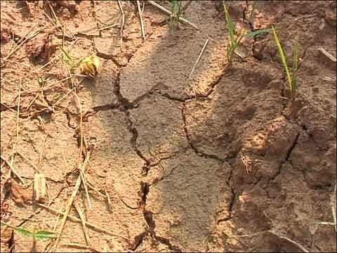 好雨知时节-京津沪头条 作者:刘庆东(图2)