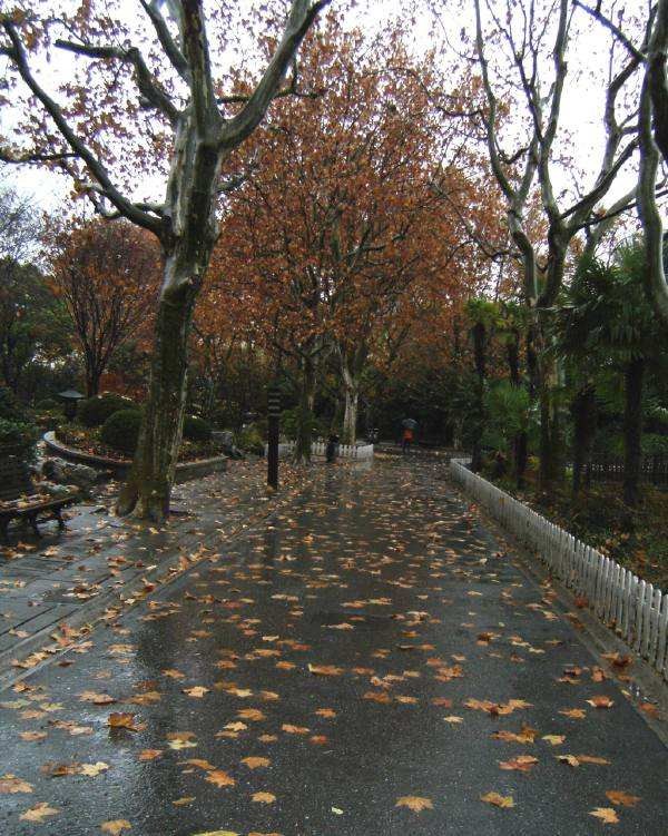 冬雨-京津沪头条 蔡雨芳华（图2）