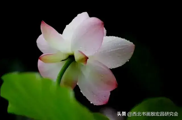 84a1a07e264440d694b33284ba346134.