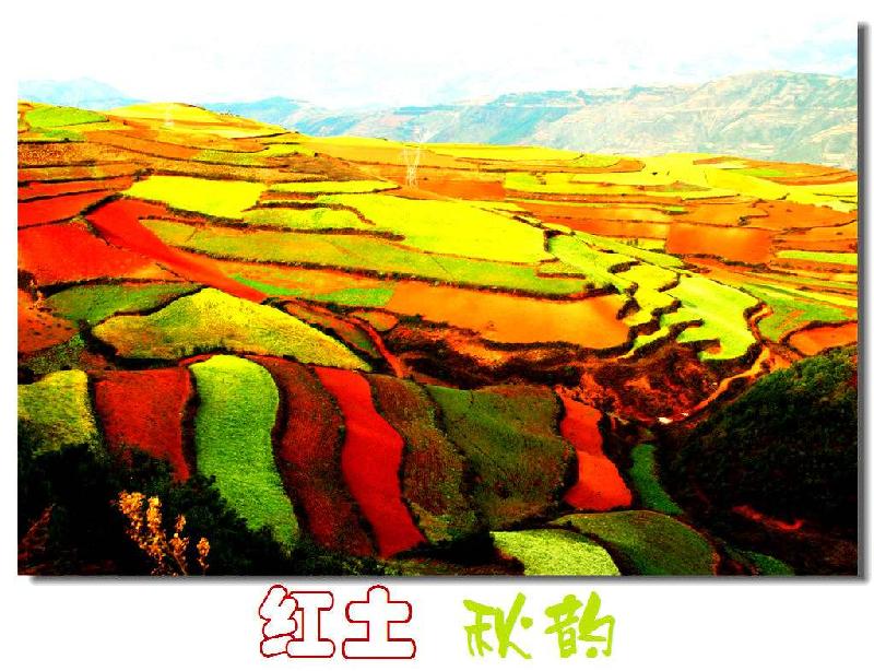 timg-1604193808543.